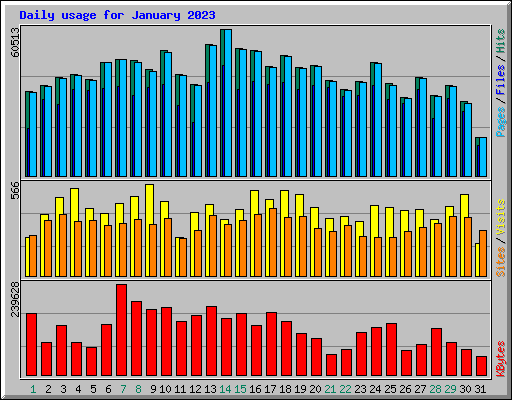 Daily usage for January 2023