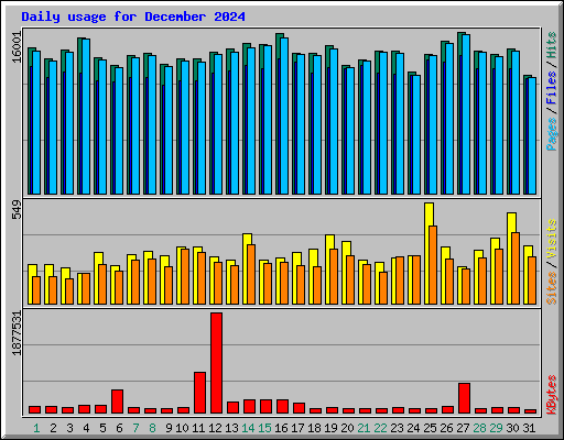 Daily usage for December 2024