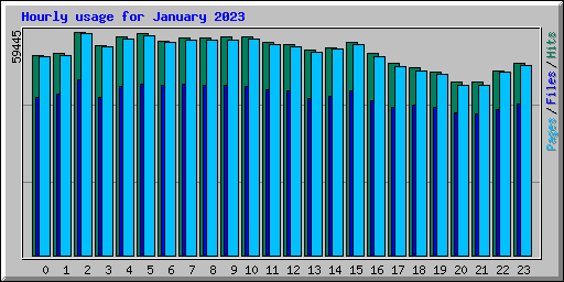 Hourly usage for January 2023