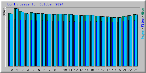 Hourly usage for October 2024