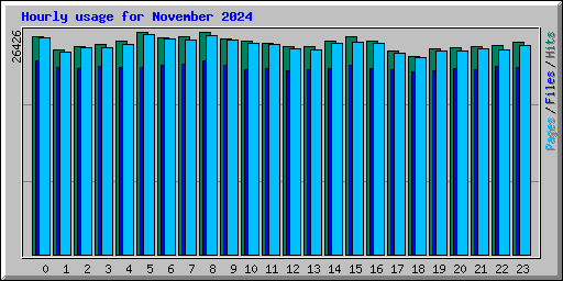 Hourly usage for November 2024