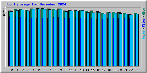 Hourly usage for December 2024