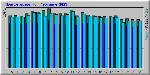 Hourly usage for February 2025