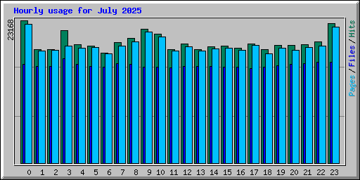 Hourly usage for July 2025