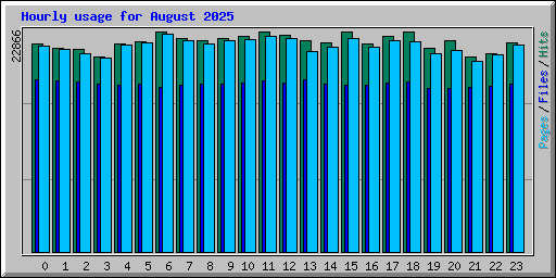 Hourly usage for August 2025