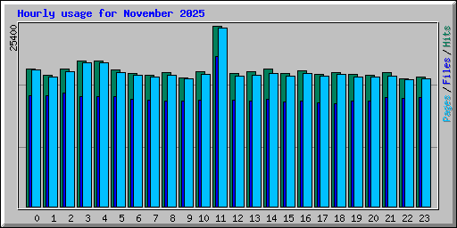 Hourly usage for November 2025