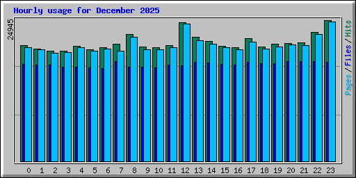 Hourly usage for December 2025