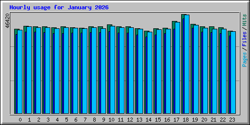 Hourly usage for January 2026