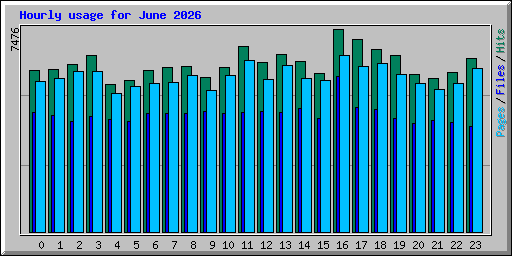 Hourly usage for June 2026